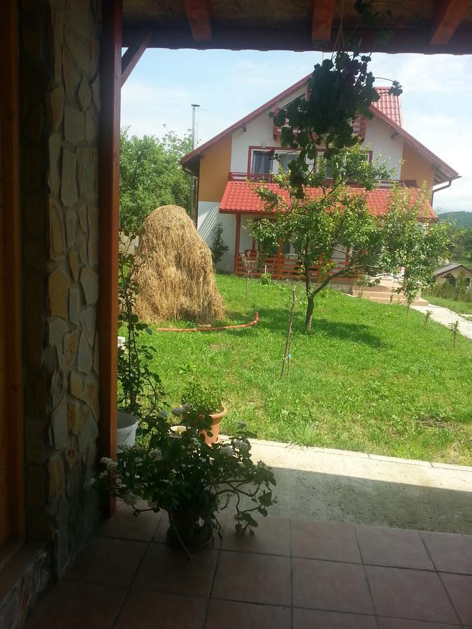 Pensiunea Agroturistica Ioana Bradulet Esterno foto