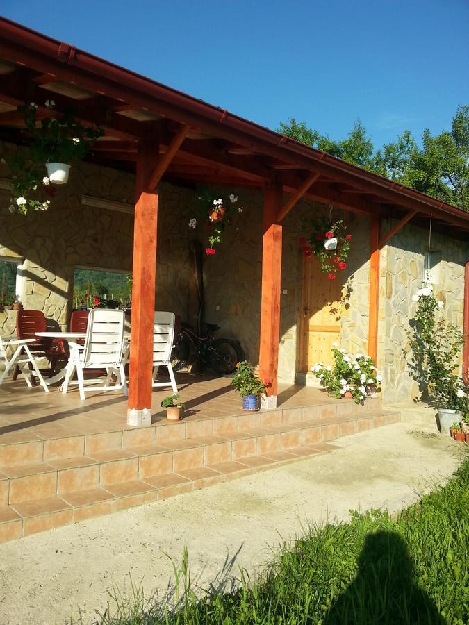 Pensiunea Agroturistica Ioana Bradulet Esterno foto